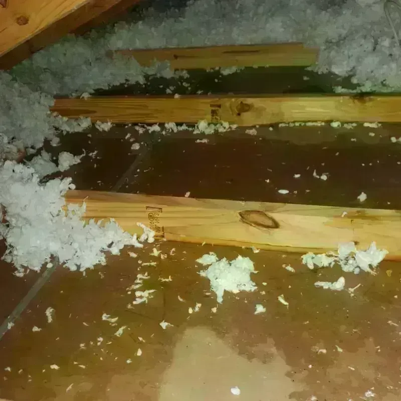 Attic Water Damage in Atherton, CA