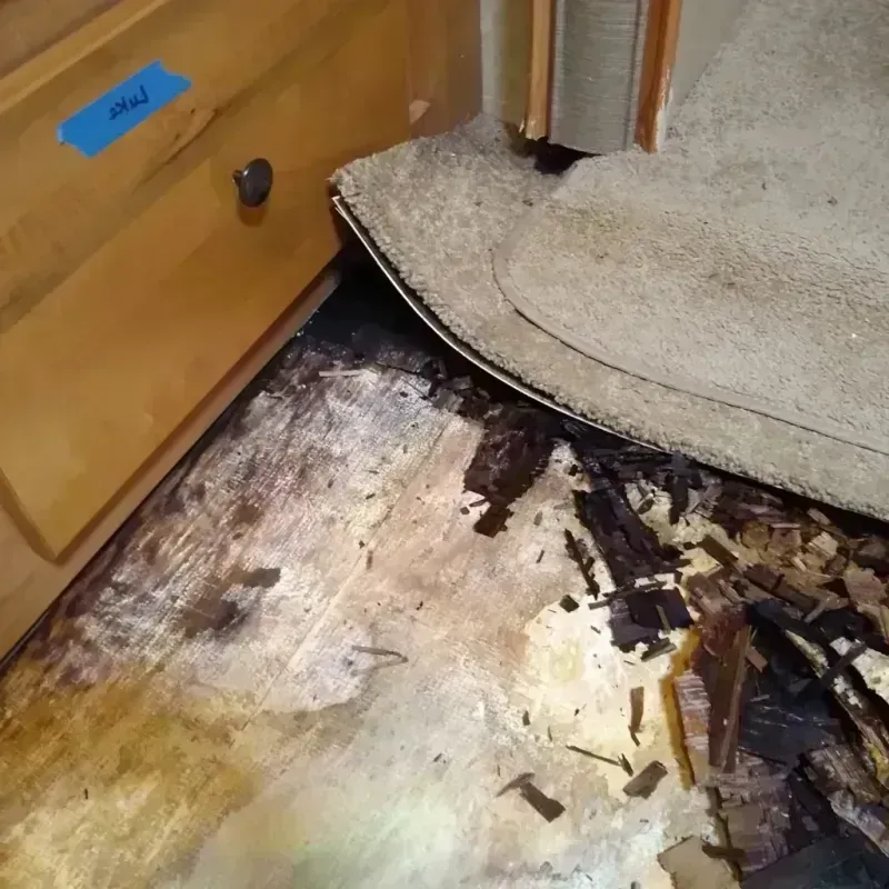 Wood Floor Water Damage in Atherton, CA